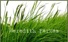 Meredith Farkas