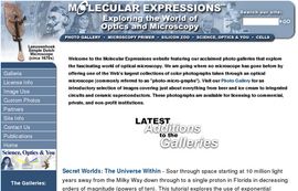 Molecular Expressions: Images from the Microscope