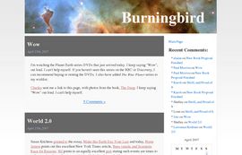 Burningbird  