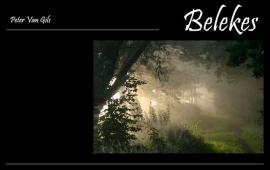 Peter Van Gils - Belekes