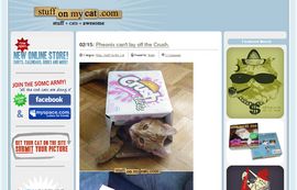 Stuff On My Cat: Stuff + Cats = Awesome