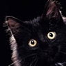 cybermacs MIAU