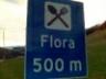 Random Flora