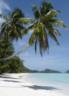 Tropical Island A