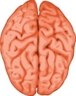 Brain Hacking