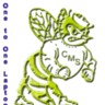 CMS 1:1