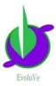 EvoluVe for the contemporary transition of  Humans Societies