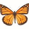 Spirit-Filled Coaching - Life Tools