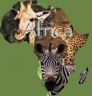 World Systems: Africa