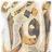 asma_a_m