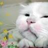 becky he - beckyhe