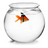 bobsmyfish