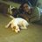 Christine Taylor