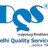 cmmiconsulting india
