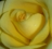 Deepa R