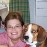 Deborah Wilson - dixiebeagle