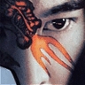 DragonI Dilong - dragoni