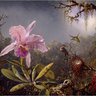 Elizabeth Brott - ecbrott