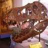 Jeffrey Eickhoff - eickhoffj