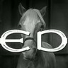 mr ed - ej9157