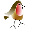 Erithacus rubecula - erubecula