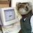 ferret games