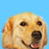 Firstdog Onthemoon - firstdog