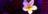 floreshotels 