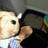 ht bear