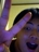Ricky Yean