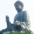 iconicbuddha
