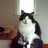 Kitty Tracy