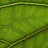 kostak