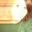 lindsay alise