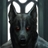 lanjackal