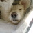 ldishaw