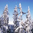 Lib Tech Snowboards