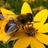 Lisa W