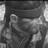 michael_luo