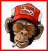 Chris Meredith - monkeyattack
