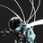 ninjabob