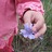 Self Healing Herbs