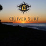 Quiver Surf - quiversurf