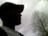 Reggie Lott