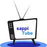 Sappi Europe