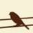 Christian Sparrow