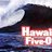stevemcgarrett