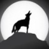 Charles Edmund Coyote - thecoyotereport