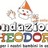 Fondazione Theodora Onlus