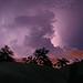 Thunderclap Morgridge